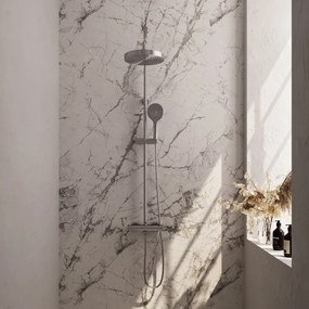 Brauer Stripe opbouw regendouche met 25cm hoofddouche en 3 standen handdouche RVS geborsteld PVD