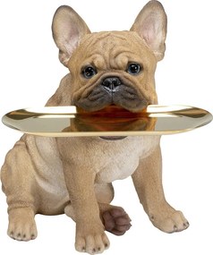 Franse Bulldog Met Dienblad