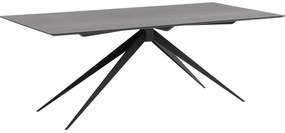 Goossens Excellent Eettafel Uniek, Rechthoekig 220 x 100 cm