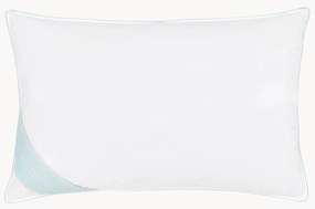 Donzen hoofdkussen Comfort, zacht