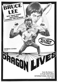 Ilustratie Bruce Lee Man Myth 02