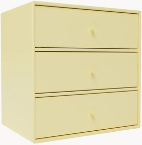 Module Mini 1007 met lades