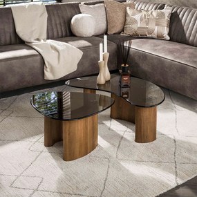 Organische Salontafelset Met Rookglas - 87 X 76cm.