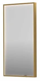 INK SP19 spiegel - 40x4x80cm rechthoek in stalen kader incl dir LED - verwarming - color changing - dimbaar en schakelaar - geborsteld mat goud 8409007