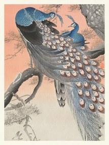 Kunstreproductie Two Peackcoks on a Peach Branch, Ohara Koson