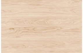 Goossens Excellent Eettafel Floyd, Semi rond 240 x 100 cm