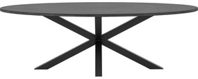 Goossens Eettafel Stone, Ovaal 240 x 120 cm