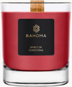 Handgemaakte geurka Kaars Sprit of Christmas (cassis, kruidnagel & amber)