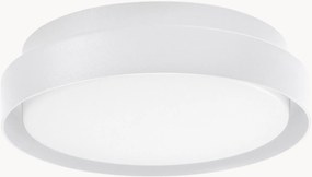 Outdoor LED plafondlamp Oliver