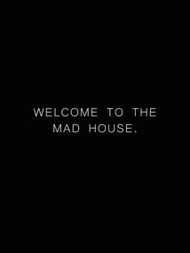 Ilustratie Welcome to the madhouse, Finlay & Noa