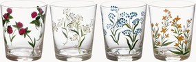 Tumblers Ancora più Flora, 4-delig
