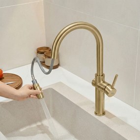 Keukenkraan Rea Fresh High Gold Brush