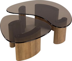 Organische Salontafelset Met Rookglas - 87 X 76cm.