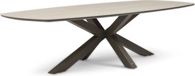Dining Tuintafel 300x 120 cm Taupe Voyage