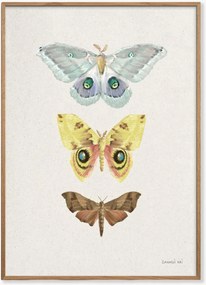 Ingelijste digitale print Beauty of the Forest II