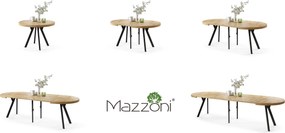EXPANSO Eik Artisan/zwarte poten - GROTE RONDE TAFEL Ø110 UITBREIDBAAR TOT 310 cm met Y-POTEN LOFT/INDUSTRIAL
