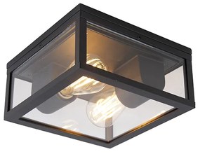 Industriële plafondlamp zwart IP44 2-lichts - Charlois