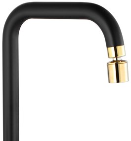 Keukenkraan Rea Polo Black/Gold