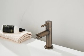 Saniclear Antique fonteinkraan verouderd messing