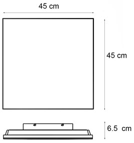 Modern LED paneel wit 45x45 cm incl. LED dim to warm - Appie vierkant Binnenverlichting Lamp