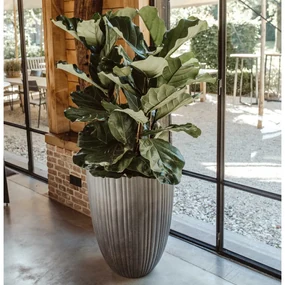 Capi Bloempot Urban Tube elegant laag 55x73 cm donkergrijs