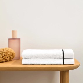 Set van 2 gastendoekjes, gekamd katoen 675g/m², Victor