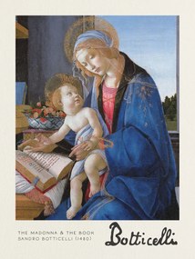 Kunstdruk The Madonna & The Book - Sandro Botticelli, (30 x 40 cm)