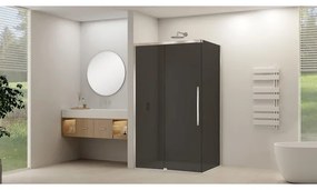 Van Rijn Products ST09 Schuifdeur tbv hoekcabine - 160x200cm - grijs rookglas - soft-close - RVS Geborsteld ST09350160GRBN