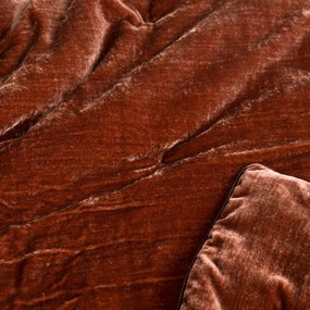 Fluwelen dekbed, Vezina