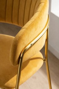 Moniel Foud Fluwelen Stoel
