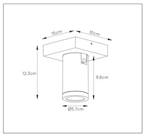 Lucide Taylor plafondlamp 1 spot 5W wit