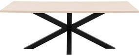 Goossens Eettafel Stone, Rechthoekig 220 x 110 cm