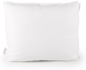 Dixxius Comfort Box Ecodown Hoofdkussen – Bij Swiss Sense