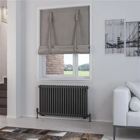 Eastbrook Rivassa 2 koloms radiator 100x60cm staal 1385W antraciet