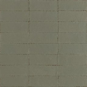 Ragno Glace Wandtegel - 7.5x20cm - glans muschio 1965889 raex