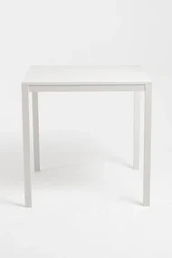 Dino Eettafel 75cm