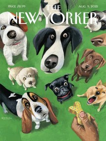 Ilustratie The NY Magazine Cover 65