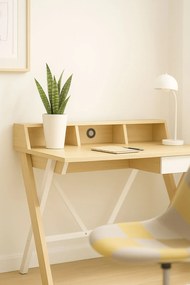 Bureau Losan