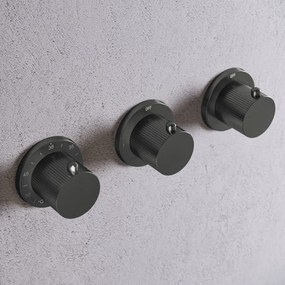 Saniclear Plus Stripes thermostaatkraan afbouwdeel verouderd ijzer - gunmetal