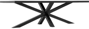 Goossens Eettafel Blade, Strak blad 260 x 100 cm 6 cm dik