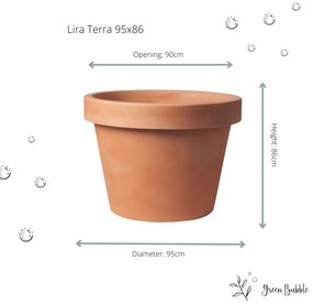 Lira Terra