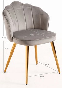 Blume Goud Fluwelen Stoel