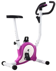 vidaXL Hometrainer met bandweerstand paars