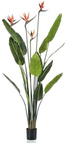 Emerald Kunstplant in pot strelitzia met 4 bloemen 150 cm
