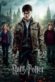 Poster HARRY POTTER 7 - part 2 one sheet, (61 x 91.5 cm)