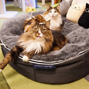 Ambient Lounge Kattenkussen Indoor/Outdoor