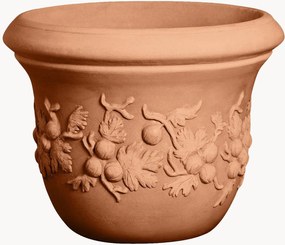 Plantenbak Uva Spina