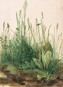 Kunstreproductie The Great Piece of Turf (1503), Albrecht Dürer