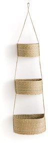 Hangende mandjes in herbarium, Cesta