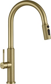 Keukenkraan Rea Master Brush Gold